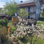 Widok z góry na ogórd